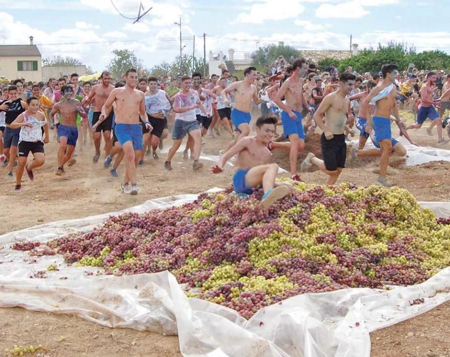 La batalla de uva fue breve pero intensa