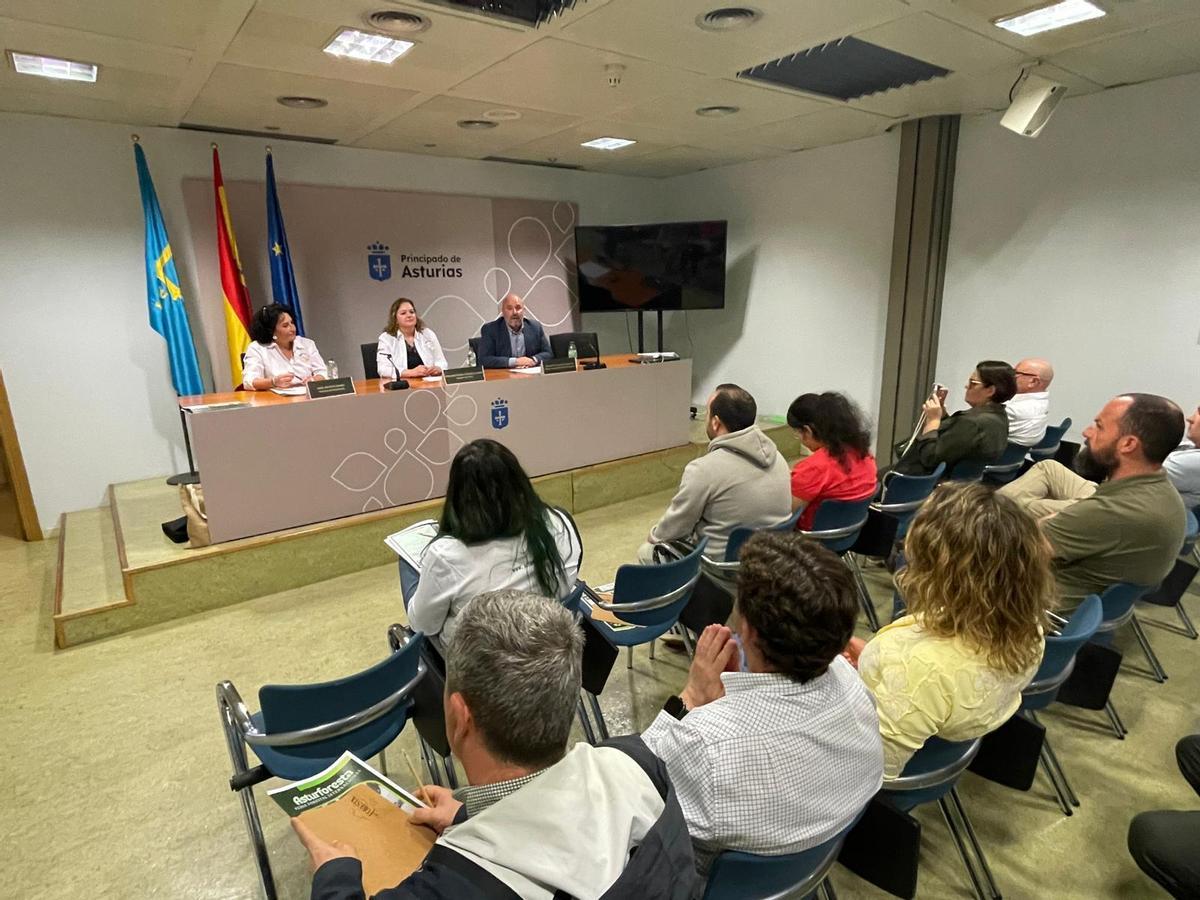 Un momento de la presentación.