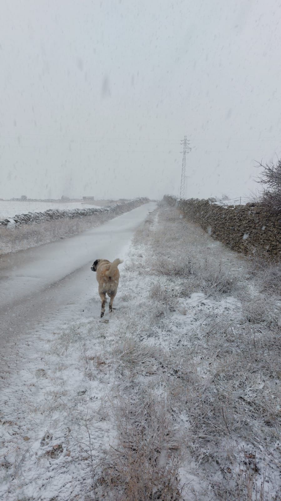 Las imágenes del temporal de nieve, granizo y lluvia en Castellón