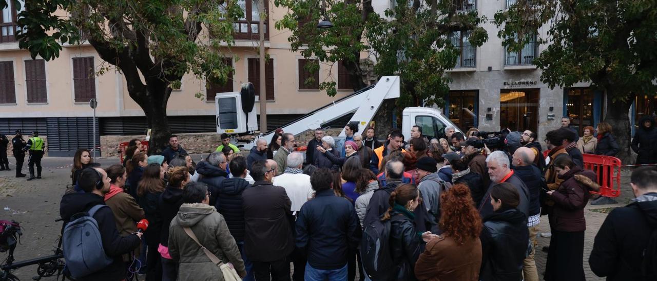 VÍDEO | El Ayuntamiento de Palma cede a la presión vecinal y suspende la tala de cinco bellasombras de la plaza Llorenç Villalonga de Palma