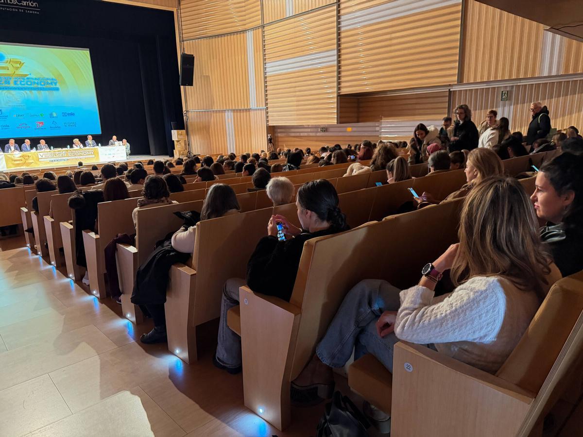 Zamora. Congreso Silver Economy. Mesa de trabajo sobre emprendimiento, servicios y economía.