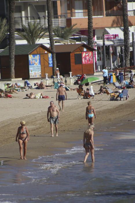 Las inusuales altas temperaturas han animado en los últimos días la afluencia a las playas de la Vega Baja. Aquí imágenes de la playa del Cura en Torrevieja.