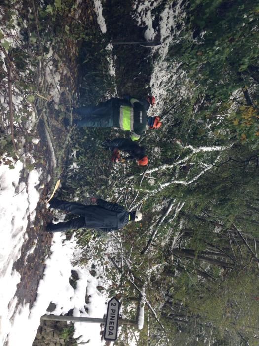 Así ha quedado Somiedo tras la gran nevada