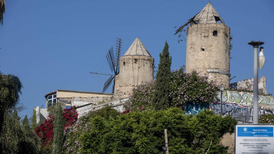 Los molinos de es Jonquet, del esplendor de la disco Jack el Negro al abandono de hoy