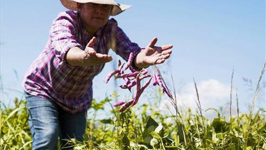 Aumenta un 19% el número de mujeres con cargo en las cooperativas agrarias