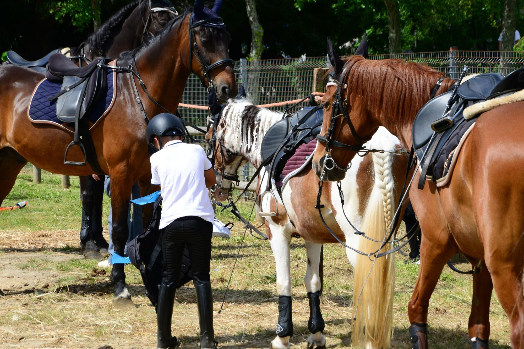 Más de 200 jinetes en la Xuntaza Cabalar de Moaña