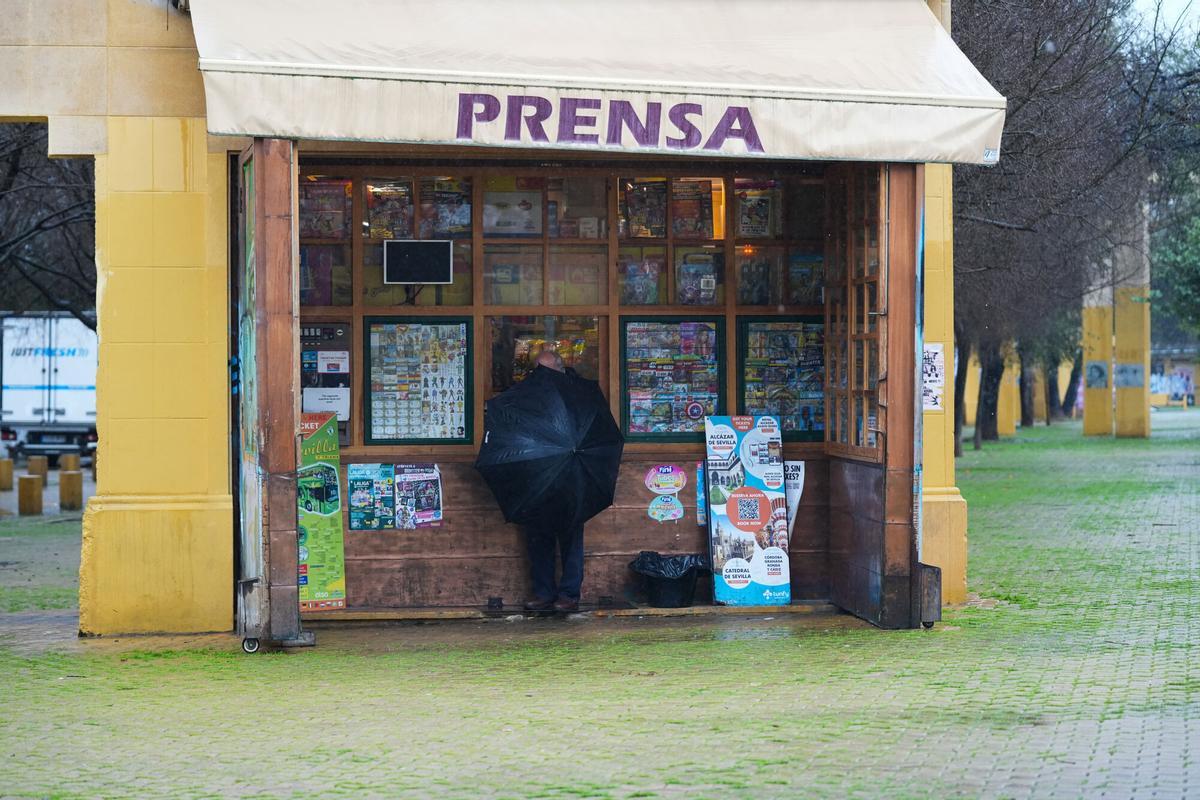 Transeúntes con paraguas en el centro de Sevilla durante el temporal de la borrasca Leonardo, que mantiene en alerta roja varios cauces de la provincia. Sevilla, España, 4 de febrero de 2026.