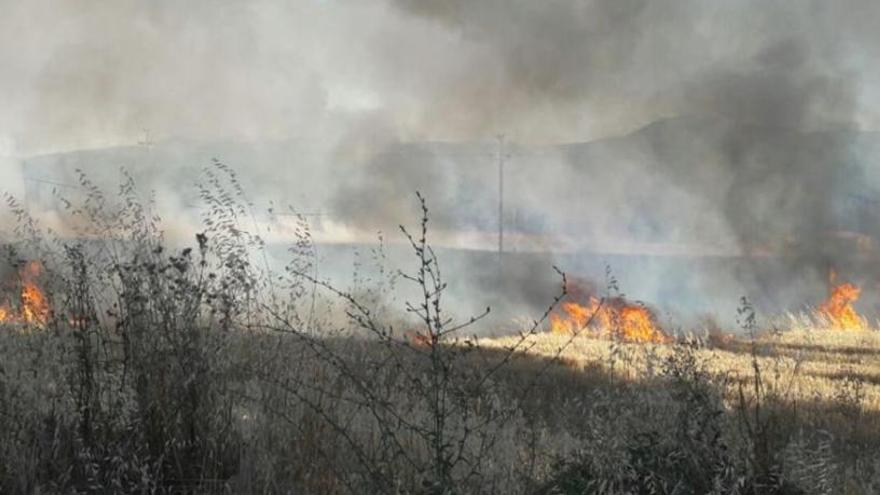 Imatge de l&#039;incendi agrícola d&#039;avui a Breda