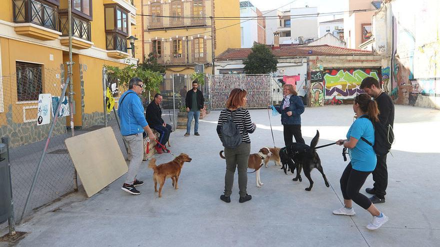 Dueños de perros el pasado mes en el nuevo espacio de la calle Esperanza.