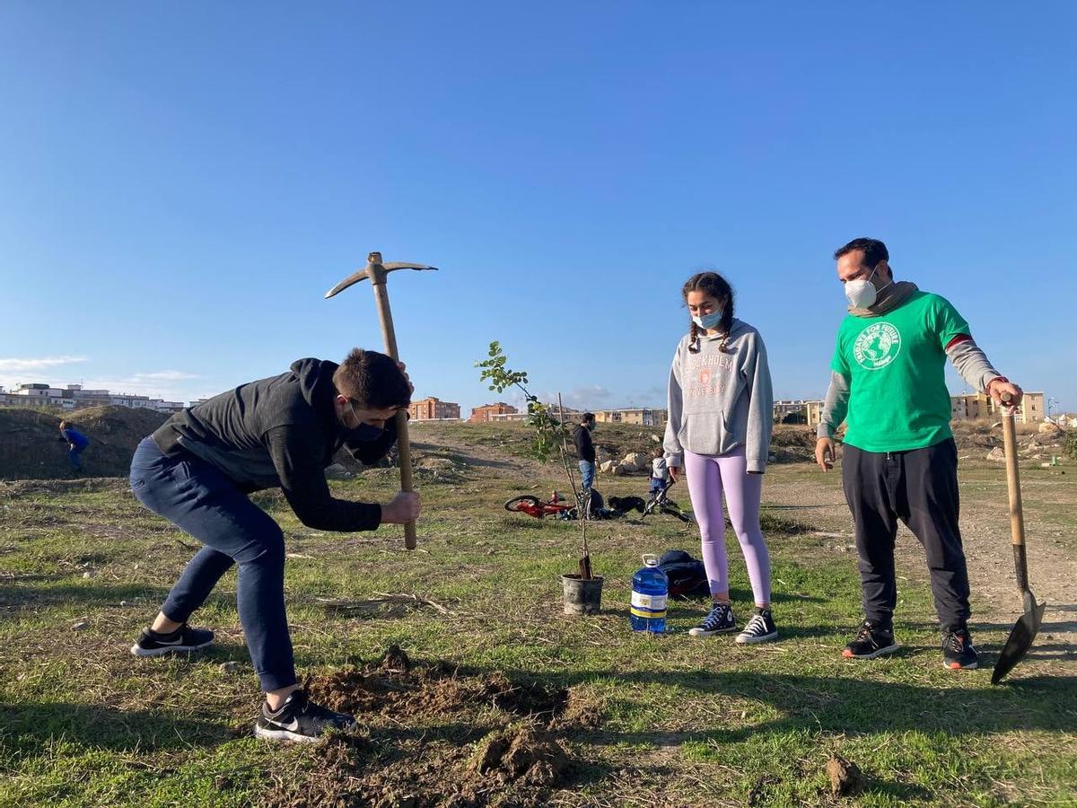 La última jornada de plantaciones se celebró el 16 de enero.