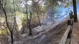 El Infoca interviene en un incendio en Palma del Río
