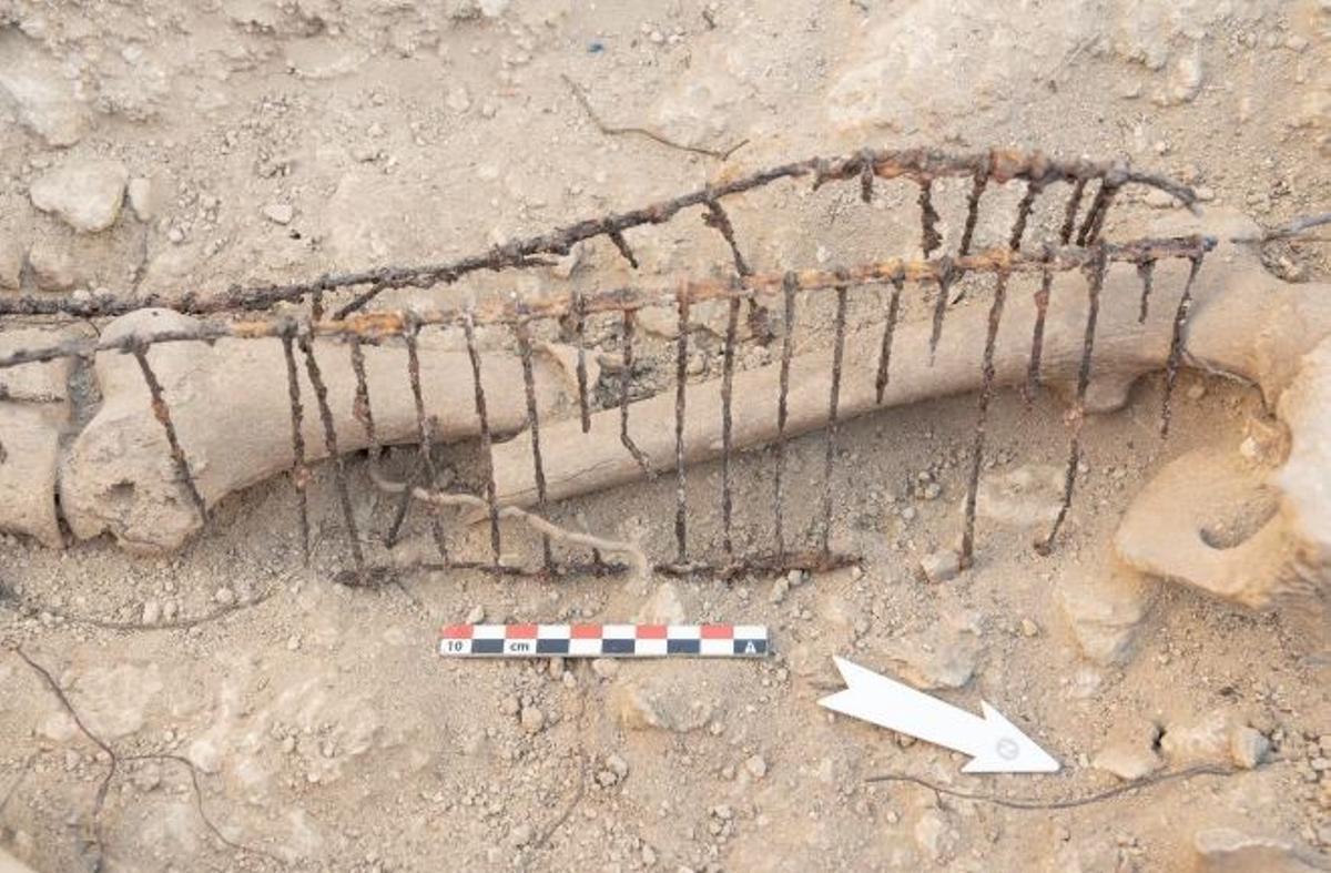Una férula kramer encontrada en los restos de un combatiente. Solo se usaba en contextos militares para la rápida soldadura de huesos.