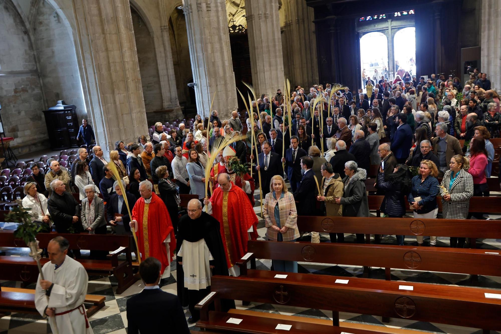 Procesión y bendición de las palmas en la Catedral.