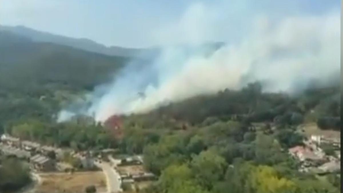 Els bombers treballen en un incendi forestal a Arbúcies