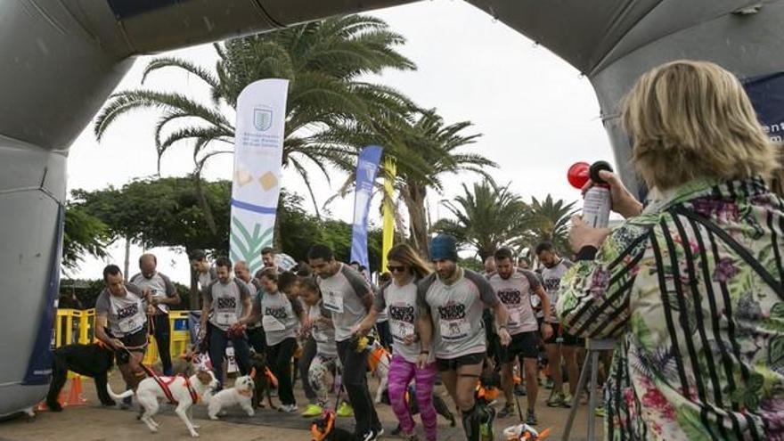 Primera carrera solidaria Perro-Amo