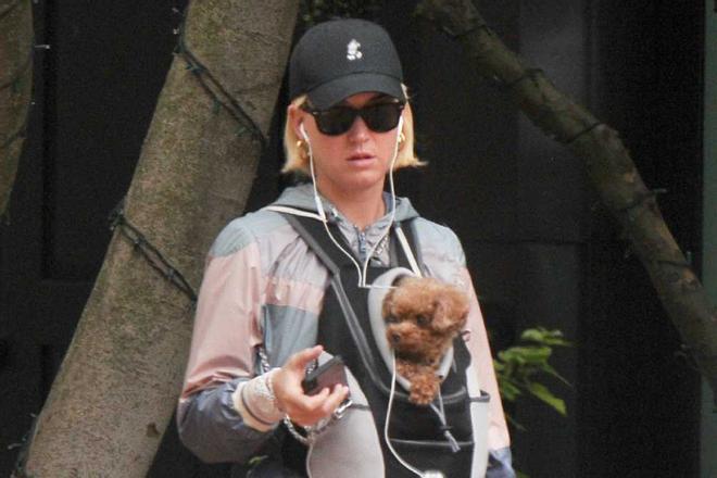 Katy Perry con el perro que tiene con Orlando Bloom