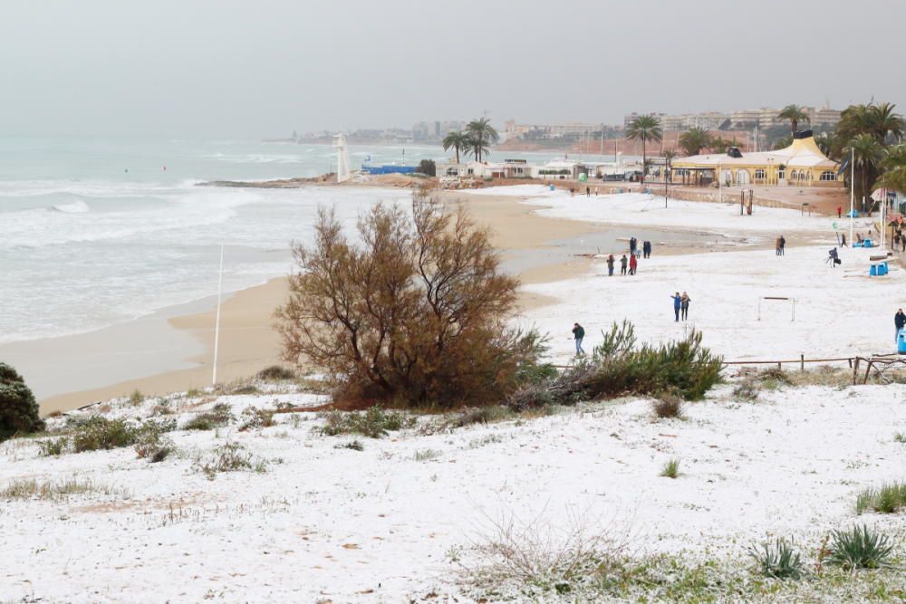 La Vega Baja, en especial los municipios del litoral, disfrutaron de una nevada histórica, que llegó a cuajar y cubrió de blanco playas y parques.
