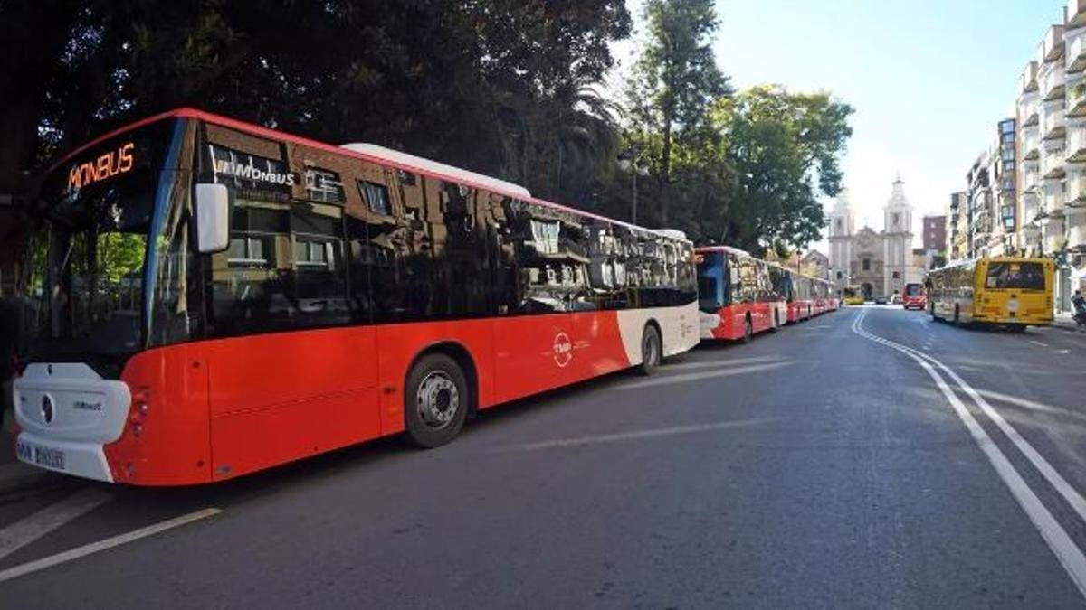 Varios autobuses de Murcia en una foto de archivo.