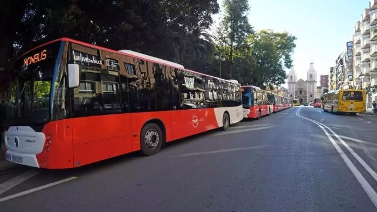 Bus y tranvía gratis este sábado en Murcia con motivo del Entierro de la Sardina