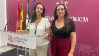 Vox exige al Ayuntamiento el arreglo de las fuentes del Pasaje Cairuán y la Subdelegación del Gobierno