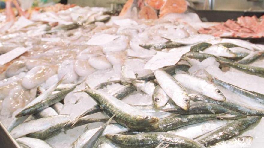 El consum de peix blau beneficia les persones amb major risc genètic de desenvolupar Alzheimer