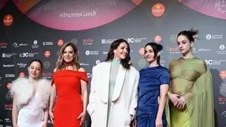 Las imágenes de los mejores vestidos de la alfombra roja de los Premis Gaudí
