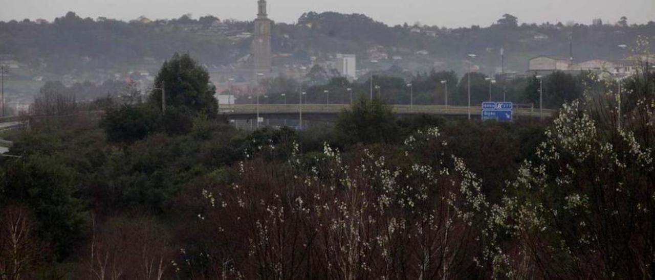 Áreas de monte bajo y bosque de la zona oriental del concejo de Gijón vistas desde la parroquia de Bernueces.