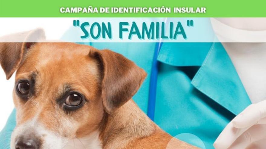 Cartel de la campaña Son familia