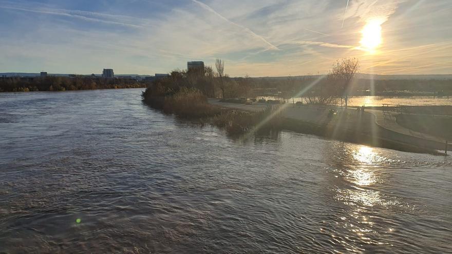 FOTOGALERÍA | El Ebro a su paso por Zaragoza -12 de diciembre de 2021