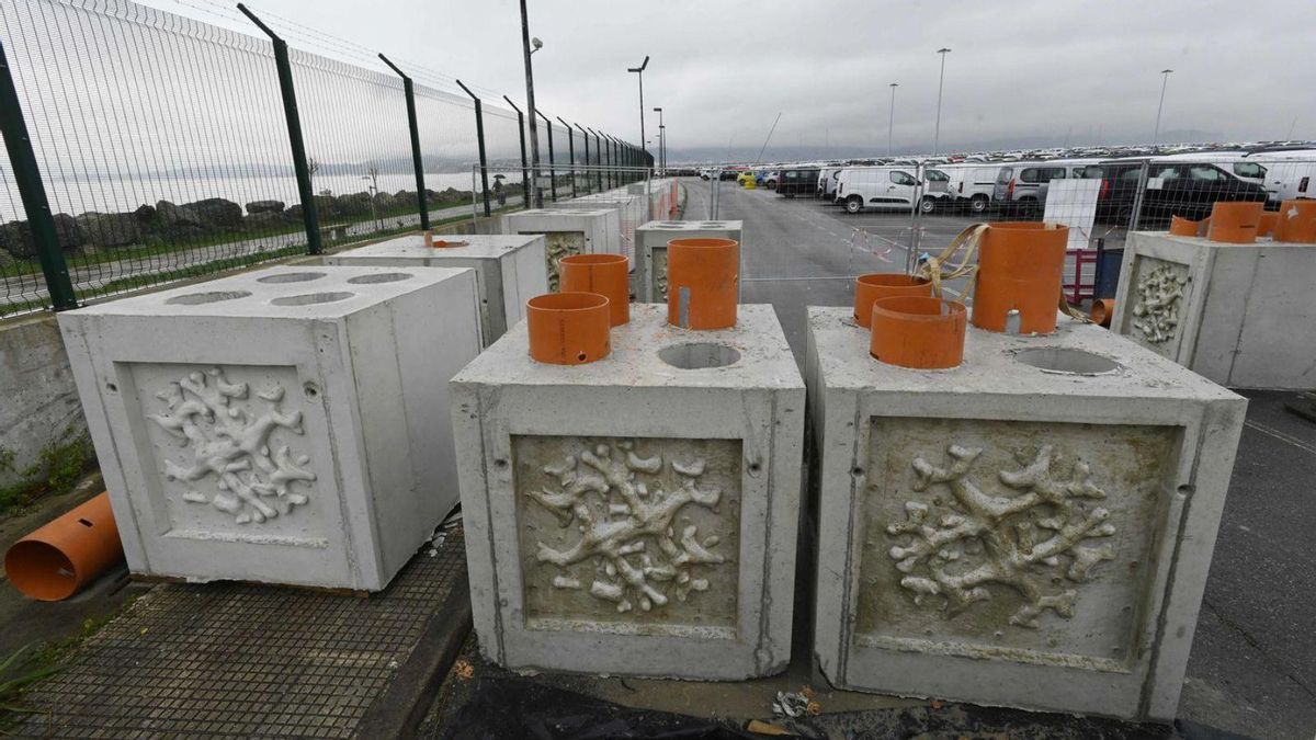 Bloques de hormigón que recrearán las algas y formarán el arrecife en Bouzas.