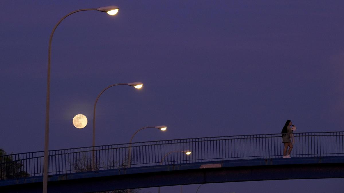 FOTOS| Así se ha visto desde Mallorca la luna llena de enero, el primer plenilunio de 2024