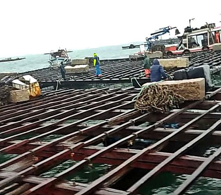 Los bateeiros se unieron para ayudarse y evitar males mayores en las bateas.