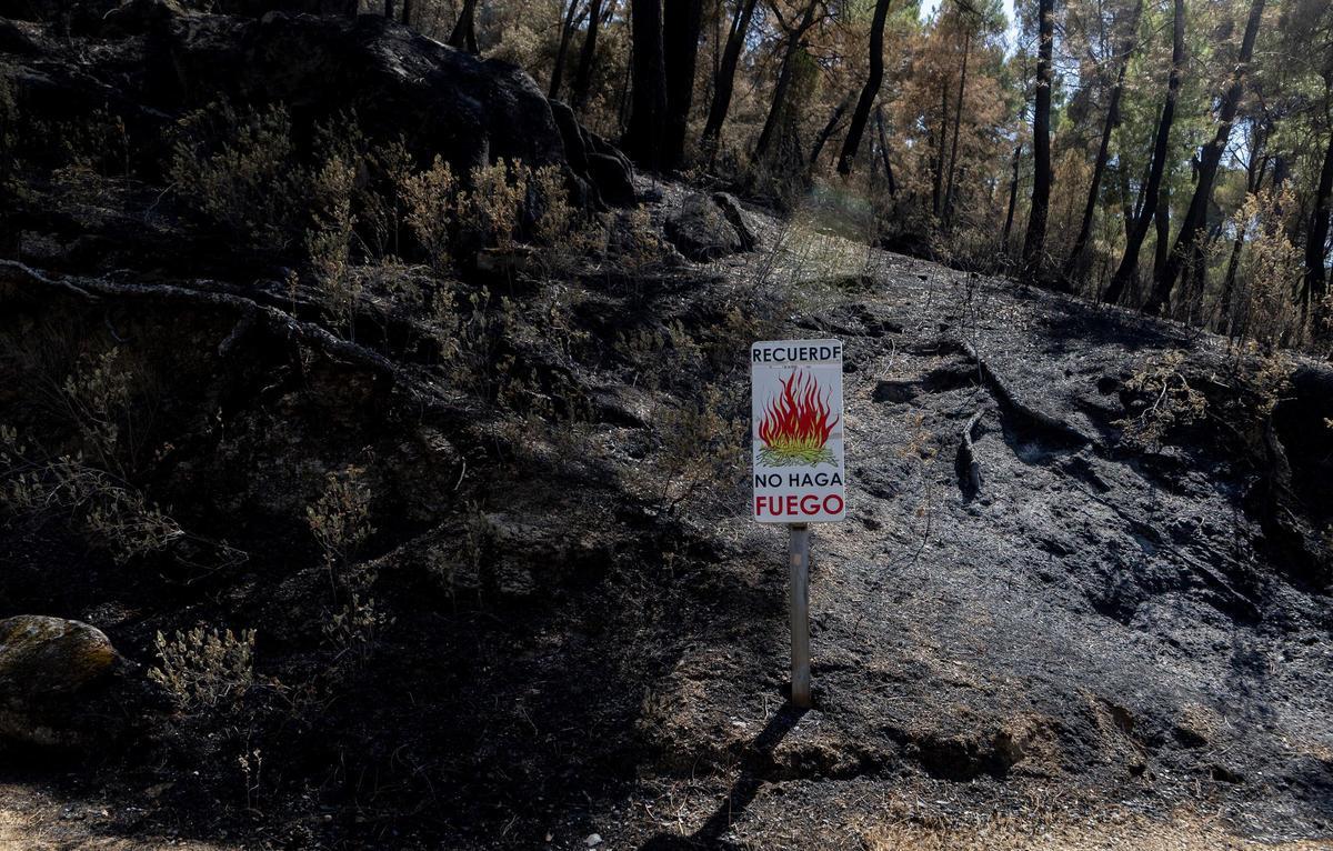 Zonas calcinadas tras el paso del incendio de la Sierra Oeste de Madrid, a 30 de julio de 2026, en Pelayos de la Presa, Madrid (España). La Comunidad de Madrid ha recuperado el control del operativo contra el incendio forestal de la Sierra Oeste, que ya n