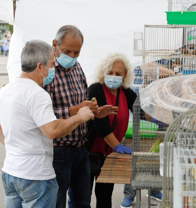 El Rastro de Gijón reabre sus puertas