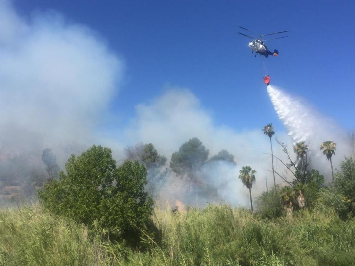Un incendio forestal en el Menjú de Cieza rodea un Un incendio forestal en el Menjú de Cieza rodea un