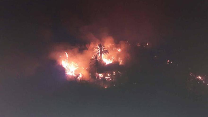 Una zona forestal de La Culata sufre un incendio