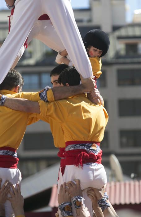 La conlloga de Castelló realiza la primera muixeranga de cinco alturas