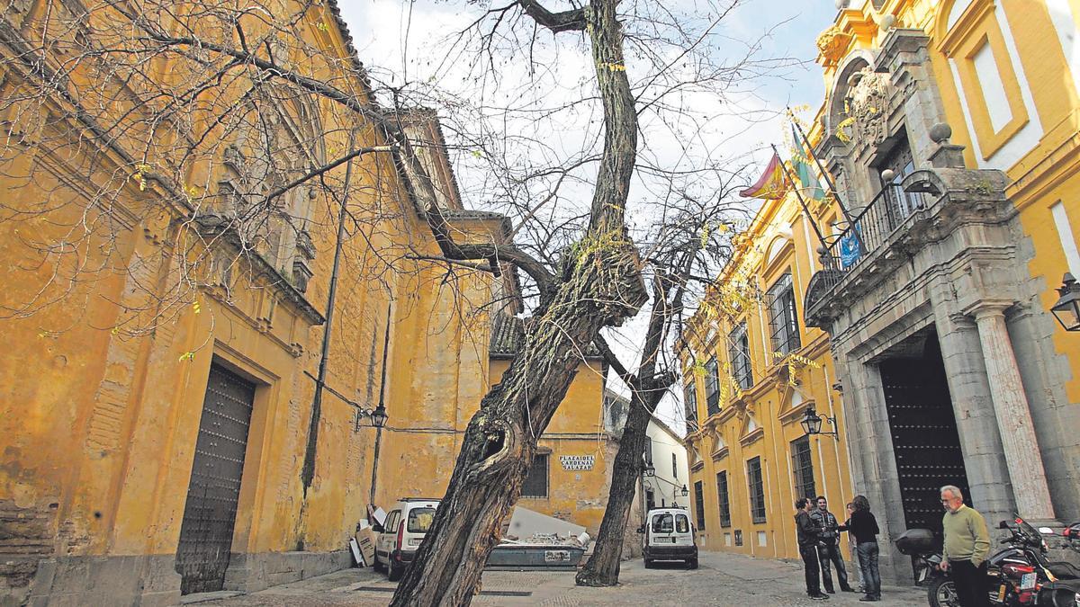 Plaza del Cardenal Salazar, donde puede verse la fachada de la Facultad de Filosofía y Letras y de Iglesia de San Pedro de Alcántara.