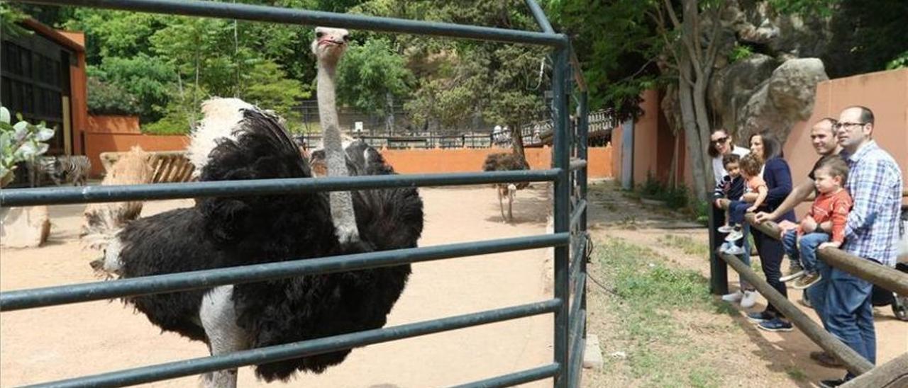 instalaciones del zoológico de Córdoba.