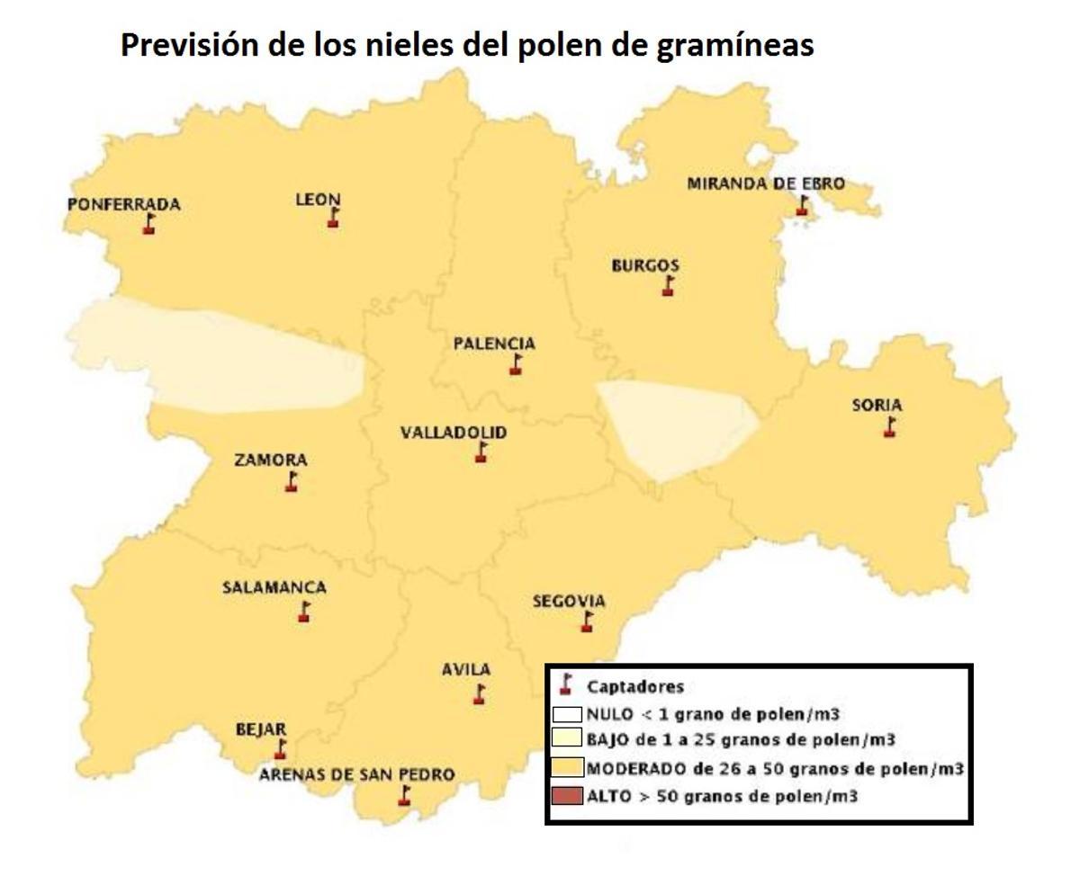 Previsión del polen de gramíneas en Zamora durante el fin de semana