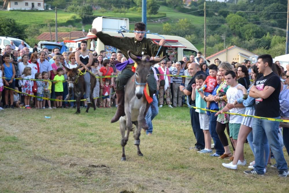 Carrera de burros en Pañeda