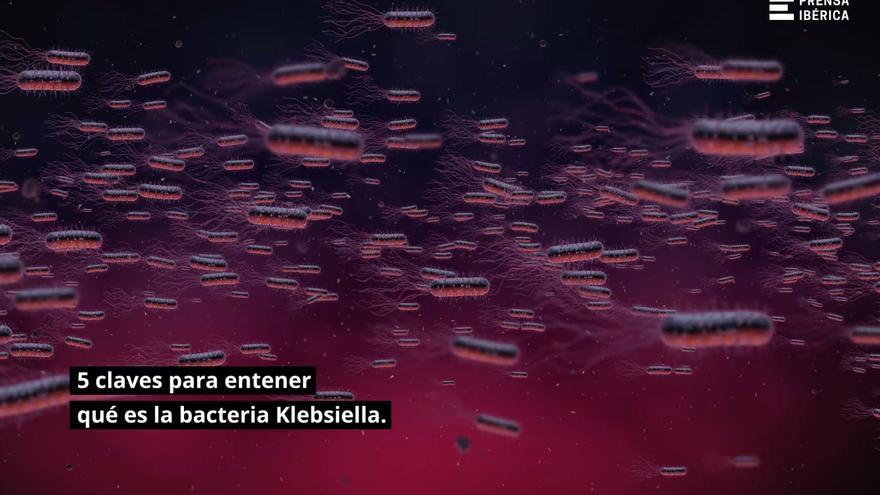 Qué es la bacteria klebsiella y cómo se contagia: las cinco claves