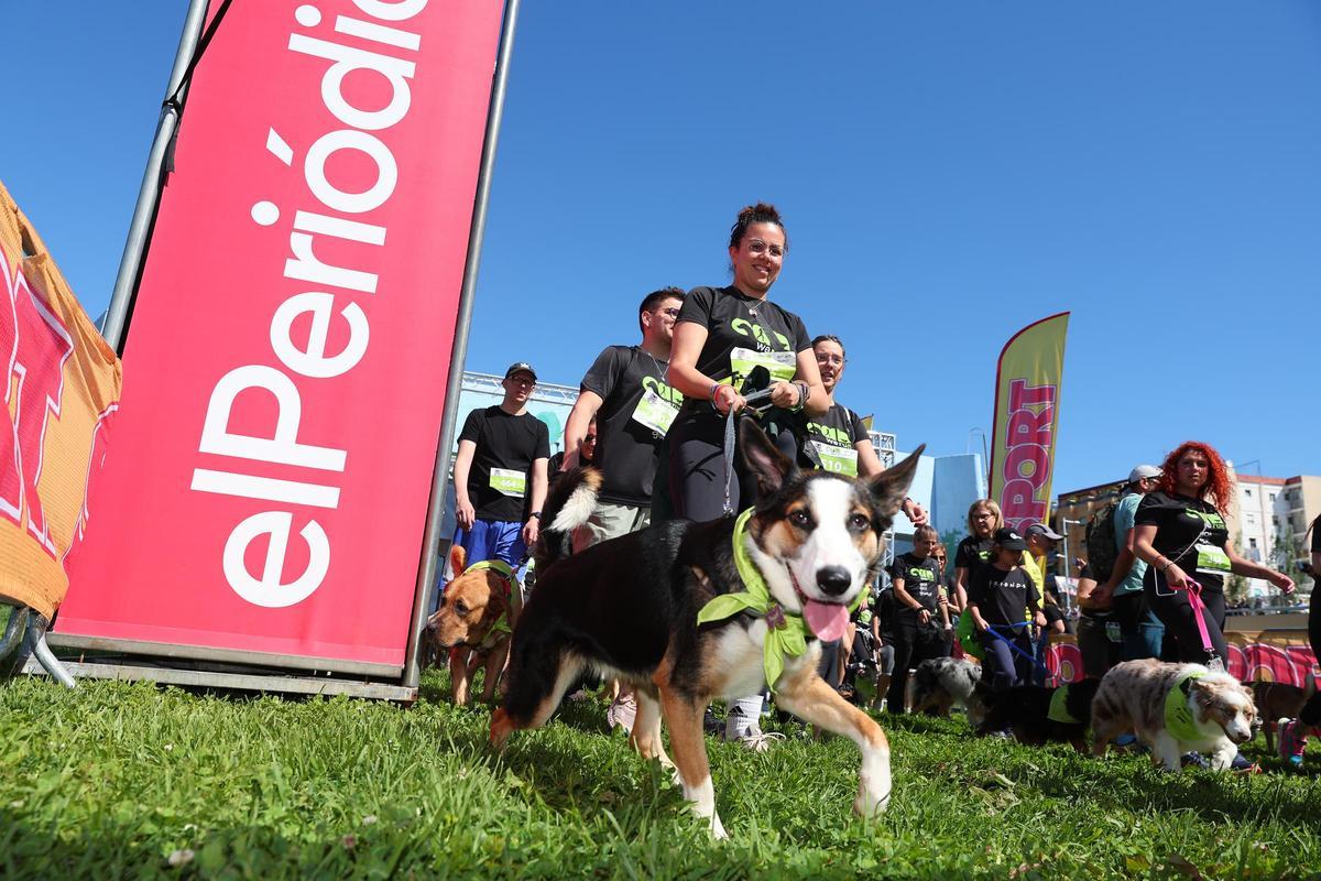Las mejores imágenes de la Can We Run Barcelona