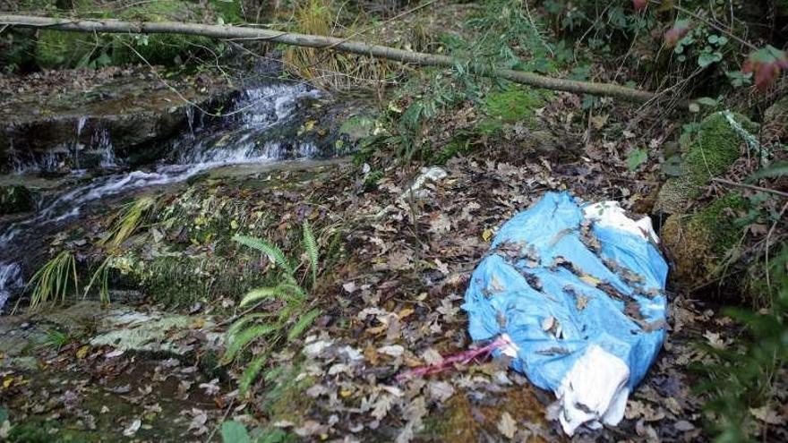 Trabajadores de los concellos de A Estrada y Cuntis tuvieron que asumir ayer la retirada de los cadáveres, algunos tirados en bolsas y junto a un río. // Bernabé/Luismy