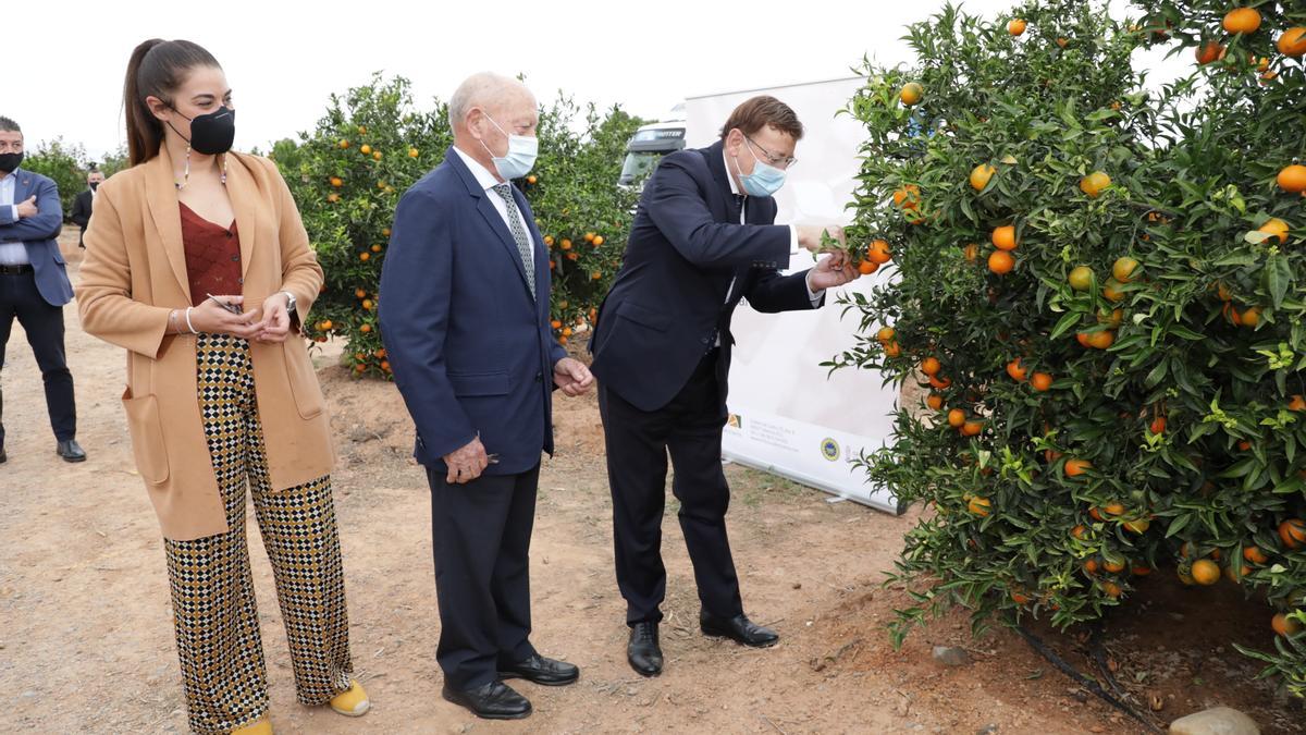 Ximo Puig y Mireia Mollà, en una visita a una campo a principios de esta campaña.