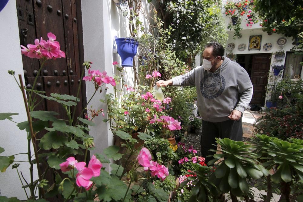 Los patios cordobeses, confinamiento interior por el coronavirus