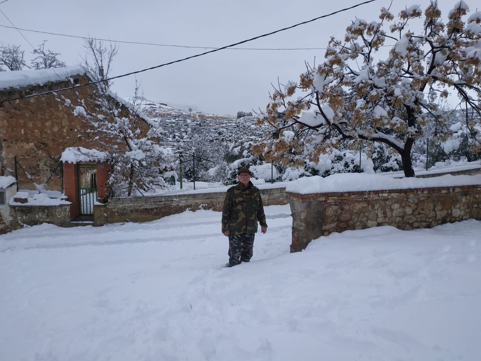 Nevada en Bejís