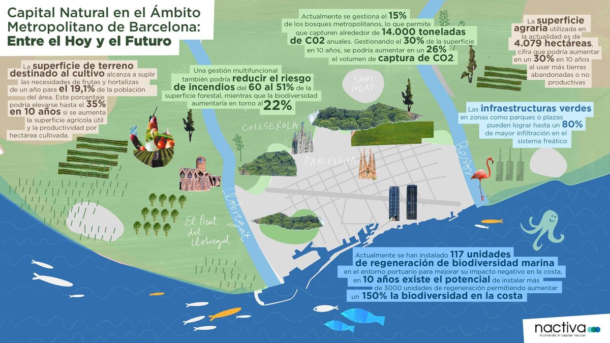 Ilustración de la Casa de Carlota, cómo es el capital Natural de Barcelona