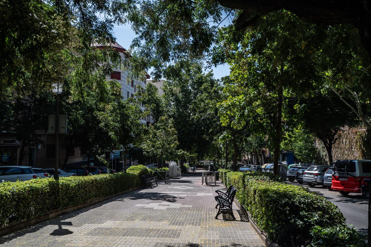 Avenida Virgen de la Montaña de Cáceres