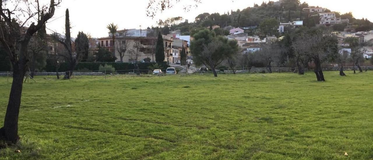 Der Grundstück La Vinyeta in Pollença, wo die Reste abgeladen werden.